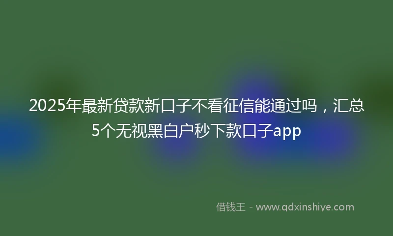 2025年最新贷款新口子不看征信能通过吗，汇总5个无视黑白户秒下款口子app