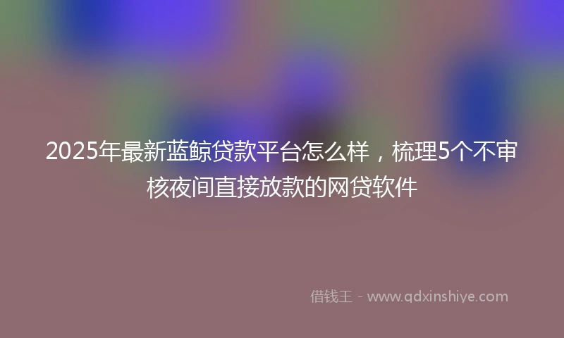 2025年最新蓝鲸贷款平台怎么样,梳理5个不审核夜间直接放款的网贷软件