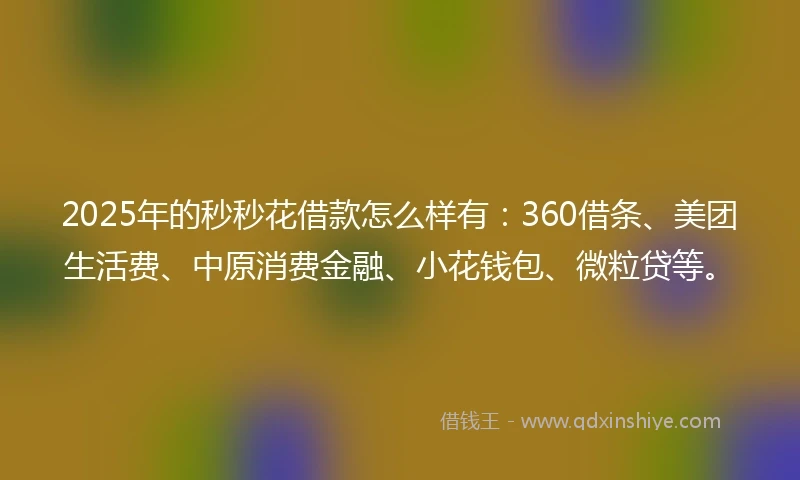 2025年的秒秒花借款怎么样有：360借条、美团生活费、中原消费金融、小花钱包、微粒贷等。