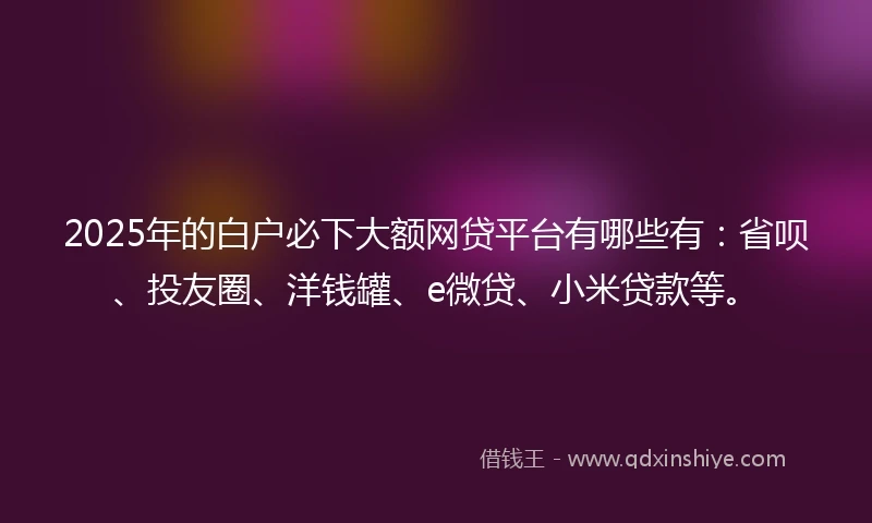 2025年的白户必下大额网贷平台有哪些有：省呗、投友圈、洋钱罐、e微贷、小米贷款等。
