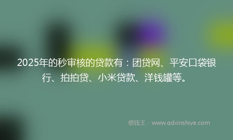 2025年的秒审核的贷款有：团贷网、平安口袋银行、拍拍贷、小米贷款、洋钱罐等。