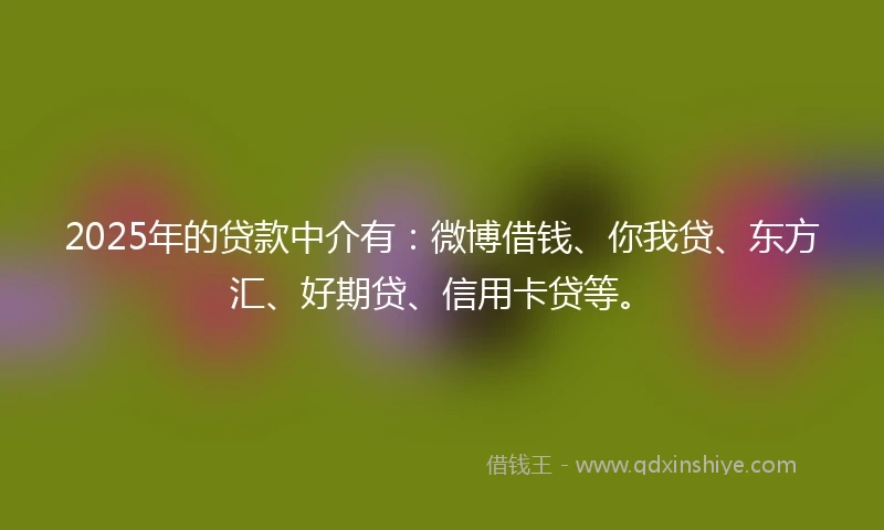 2025年的贷款中介有:微博借钱、你我贷、东方汇、好期贷、信用卡贷等。
