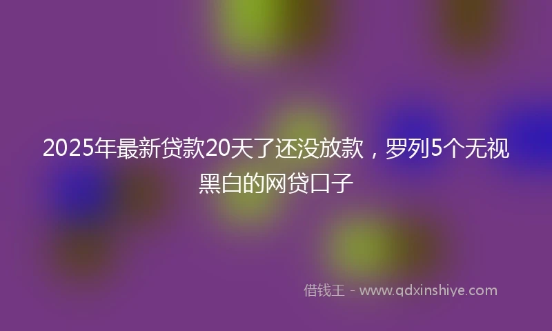 2025年最新贷款20天了还没放款，罗列5个无视黑白的网贷口子
