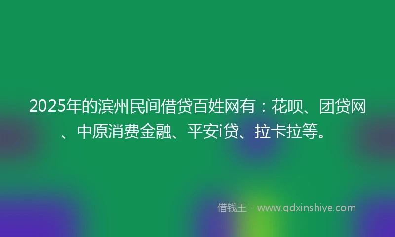 2025年的滨州民间借贷百姓网有：花呗、团贷网、中原消费金融、平安i贷、拉卡拉等。