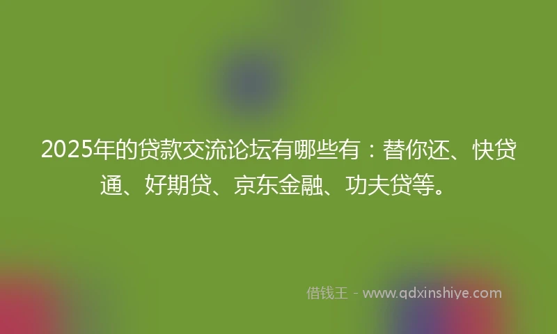 2025年的贷款交流论坛有哪些有：替你还、快贷通、好期贷、京东金融、功夫贷等。