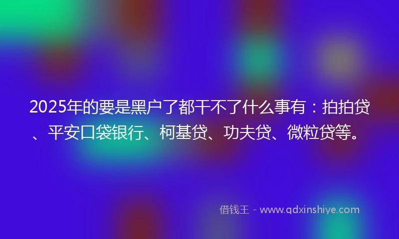 2025年的要是黑户了都干不了什么事有：拍拍贷、平安口袋银行、柯基贷、功夫贷、微粒贷等。