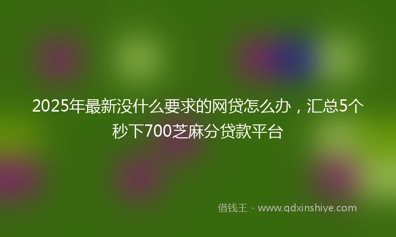 2025年最新没什么要求的网贷怎么办，汇总5个秒下700芝麻分贷款平台