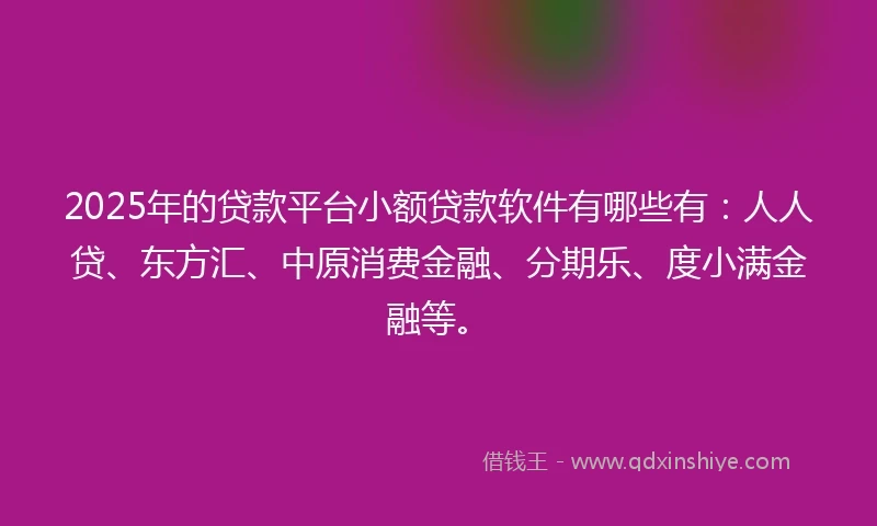 2025年的贷款平台小额贷款软件有哪些有：人人贷、东方汇、中原消费金融、分期乐、度小满金融等。