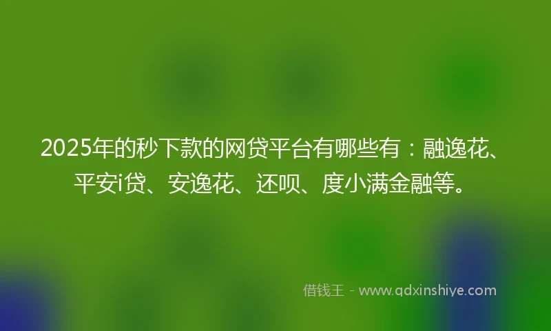 2025年的秒下款的网贷平台有哪些有：融逸花、平安i贷、安逸花、还呗、度小满金融等。