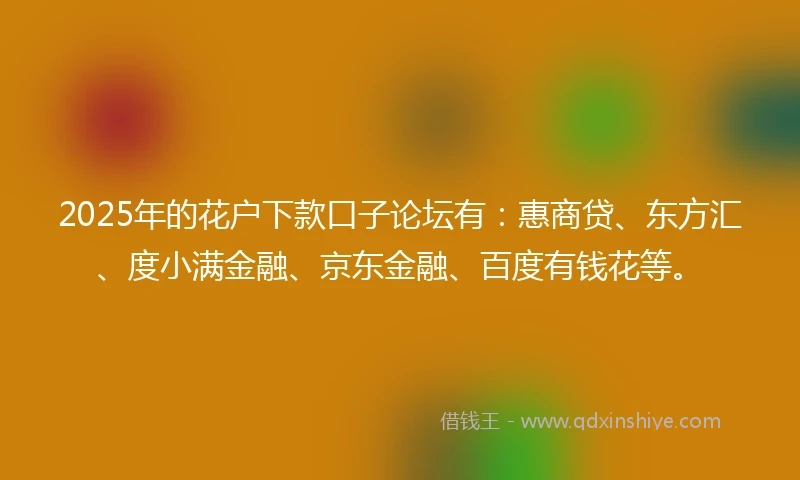 2025年的花户下款口子论坛有：惠商贷、东方汇、度小满金融、京东金融、百度有钱花等。