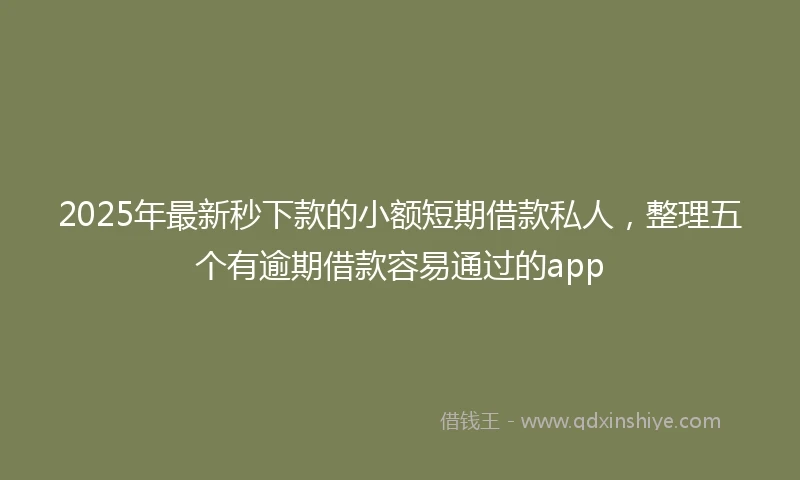 2025年最新秒下款的小额短期借款私人，整理五个有逾期借款容易通过的app