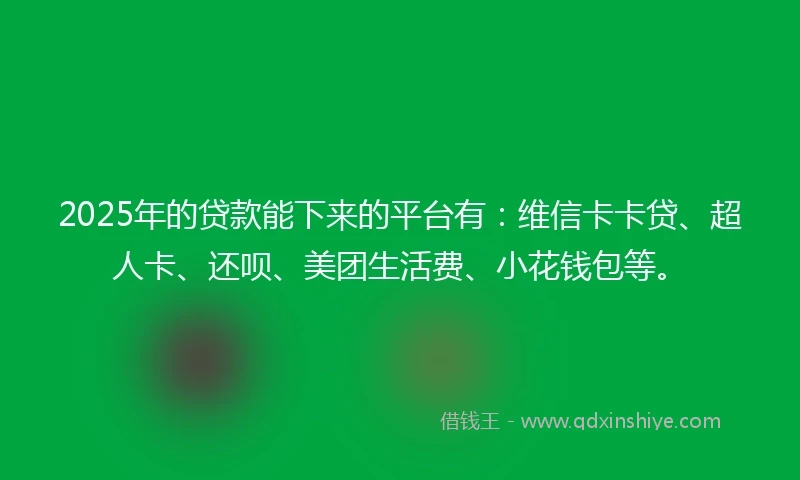 2025年的贷款能下来的平台有：维信卡卡贷、超人卡、还呗、美团生活费、小花钱包等。