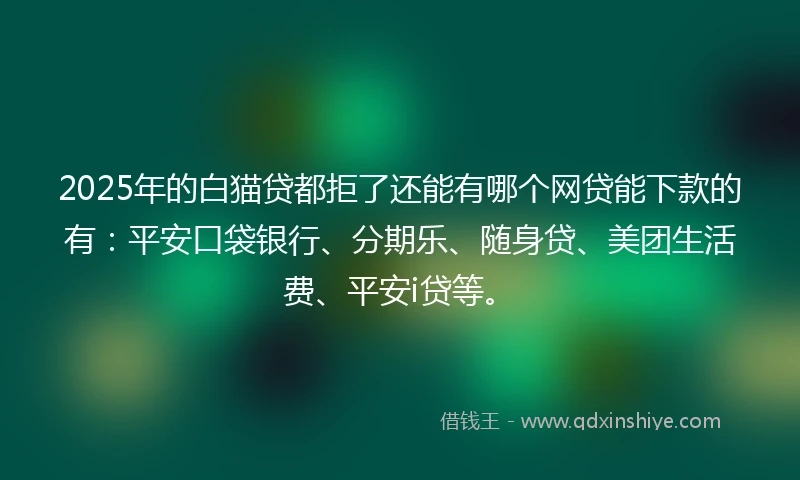 2025年的白猫贷都拒了还能有哪个网贷能下款的有：平安口袋银行、分期乐、随身贷、美团生活费、平安i贷等。
