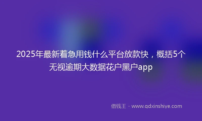 2025年最新着急用钱什么平台放款快，概括5个无视逾期大数据花户黑户app