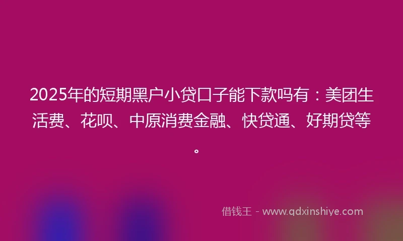 2025年的短期黑户小贷口子能下款吗有：美团生活费、花呗、中原消费金融、快贷通、好期贷等。