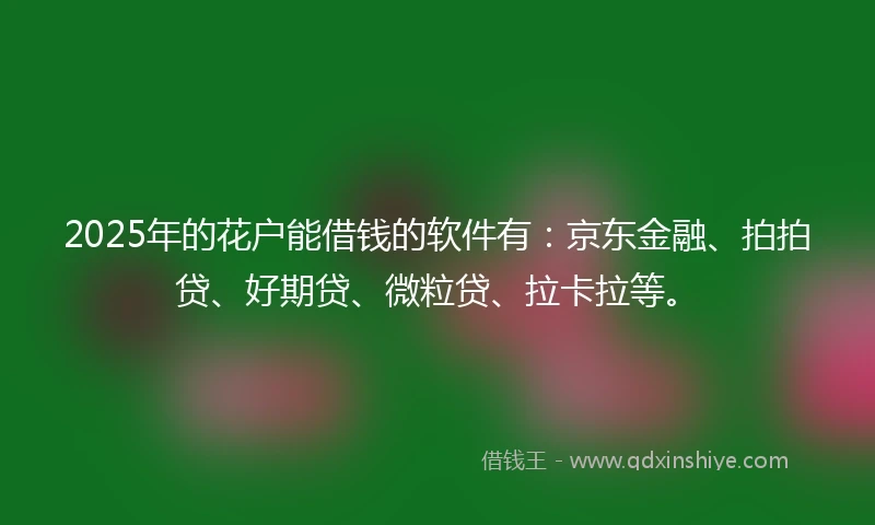 2025年的花户能借钱的软件有:京东金融、拍拍贷、好期贷、微粒贷、拉卡拉等。