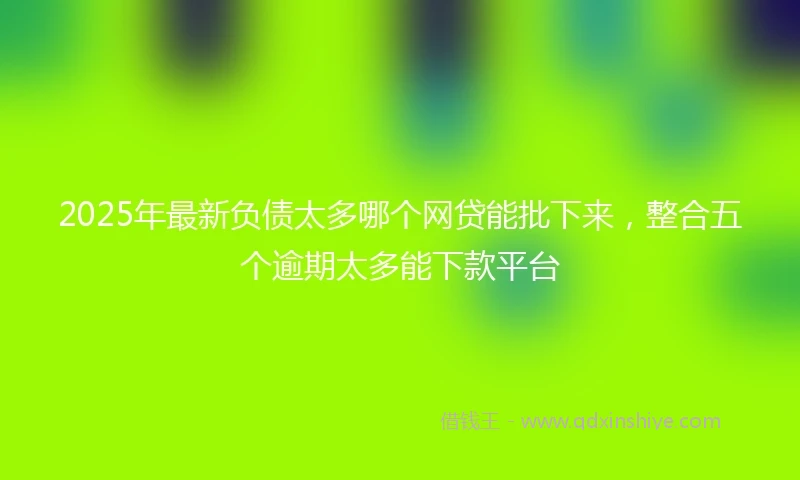2025年最新负债太多哪个网贷能批下来,整合五个逾期太多能下款平台