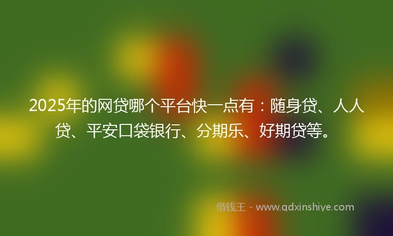 2025年的网贷哪个平台快一点有：随身贷、人人贷、平安口袋银行、分期乐、好期贷等。