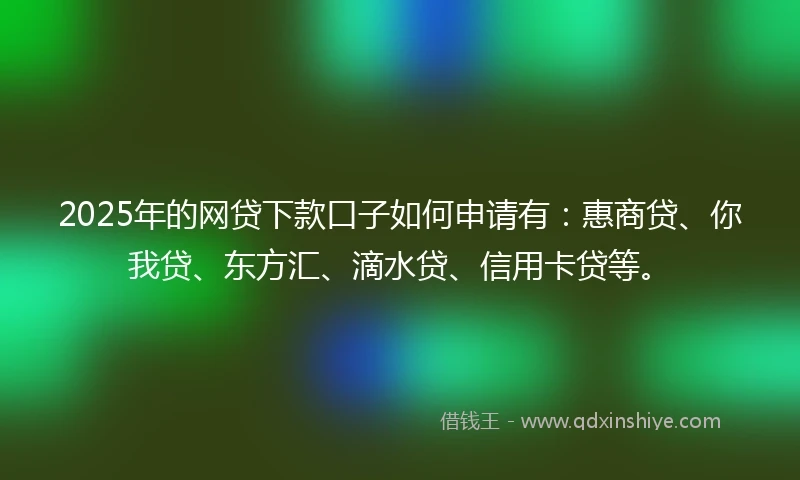 2025年的网贷下款口子如何申请有：惠商贷、你我贷、东方汇、滴水贷、信用卡贷等。