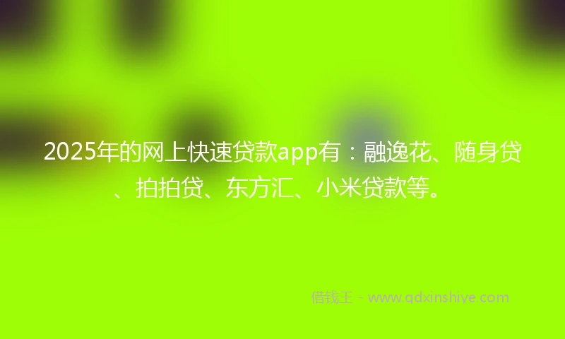 2025年的网上快速贷款app有：融逸花、随身贷、拍拍贷、东方汇、小米贷款等。