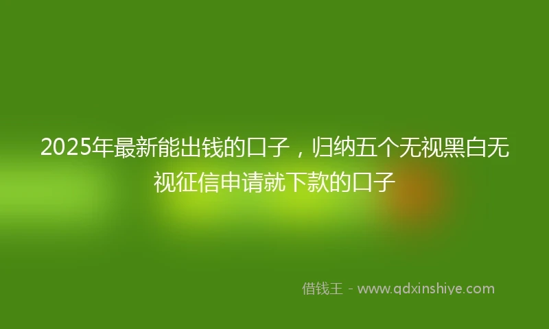 2025年最新能出钱的口子，归纳五个无视黑白无视征信申请就下款的口子
