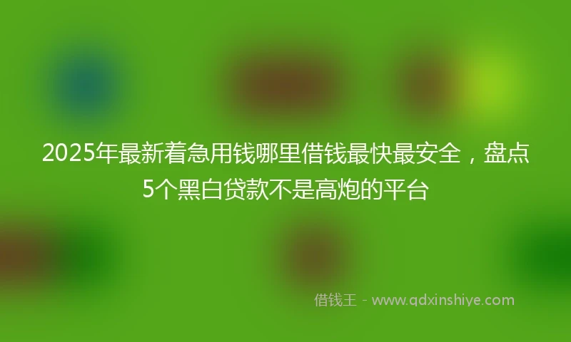 2025年最新着急用钱哪里借钱最快最安全，盘点5个黑白贷款不是高炮的平台