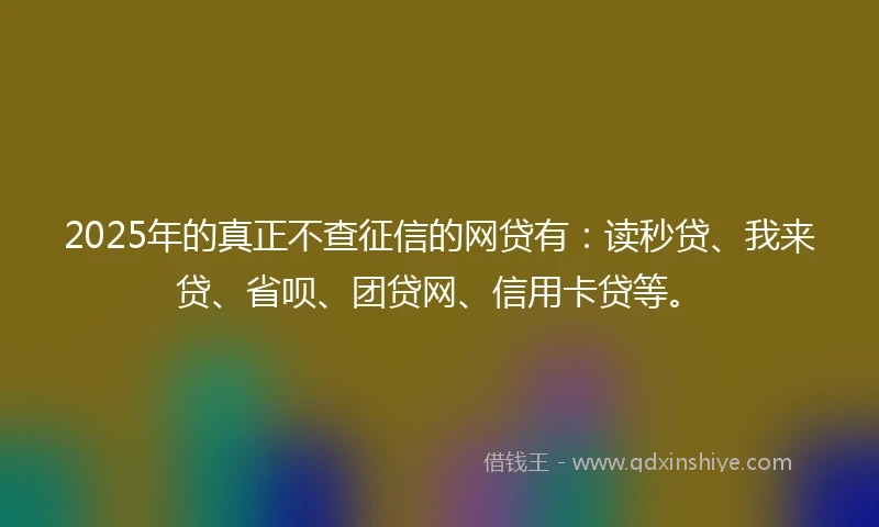 2025年的真正不查征信的网贷有：读秒贷、我来贷、省呗、团贷网、信用卡贷等。