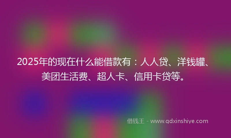 2025年的现在什么能借款有：人人贷、洋钱罐、美团生活费、超人卡、信用卡贷等。