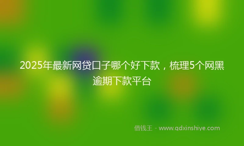 2025年最新网贷口子哪个好下款，梳理5个网黑逾期下款平台