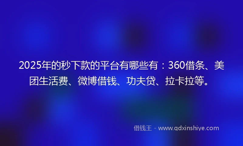 2025年的秒下款的平台有哪些有：360借条、美团生活费、微博借钱、功夫贷、拉卡拉等。