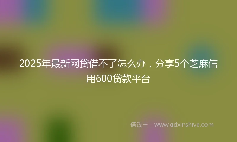 2025年最新网贷借不了怎么办，分享5个芝麻信用600贷款平台