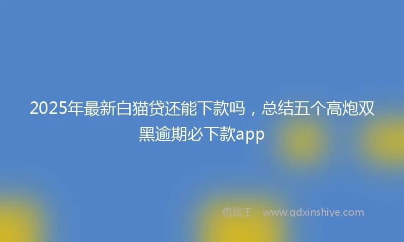 2025年最新白猫贷还能下款吗，总结五个高炮双黑逾期必下款app