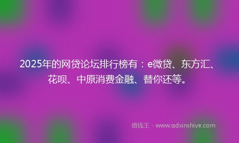 2025年的网贷论坛排行榜有：e微贷、东方汇、花呗、中原消费金融、替你还等。