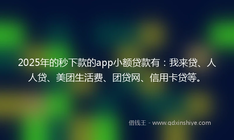 2025年的秒下款的app小额贷款有：我来贷、人人贷、美团生活费、团贷网、信用卡贷等。