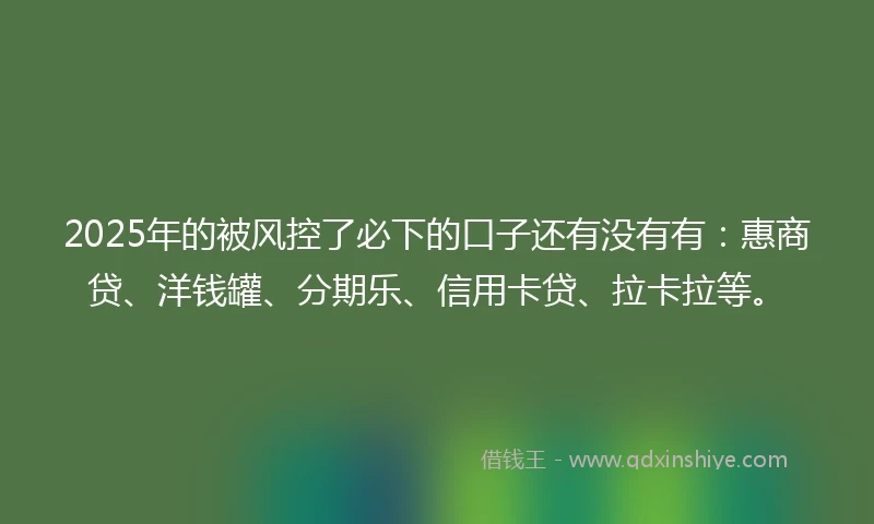 2025年的被风控了必下的口子还有没有有：惠商贷、洋钱罐、分期乐、信用卡贷、拉卡拉等。