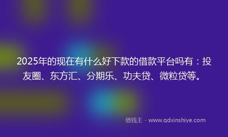 2025年的现在有什么好下款的借款平台吗有：投友圈、东方汇、分期乐、功夫贷、微粒贷等。