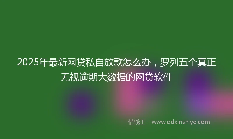 2025年最新网贷私自放款怎么办，罗列五个真正无视逾期大数据的网贷软件
