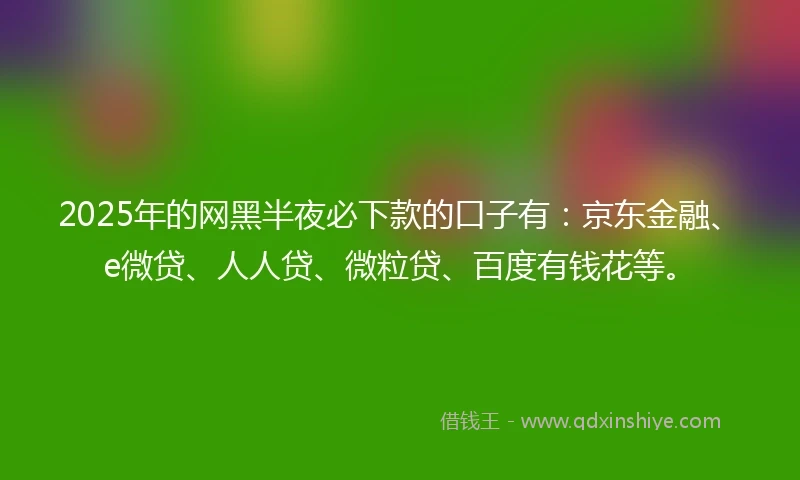 2025年的网黑半夜必下款的口子有：京东金融、e微贷、人人贷、微粒贷、百度有钱花等。