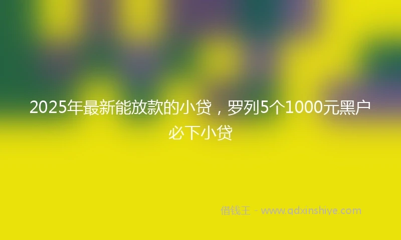 2025年最新能放款的小贷，罗列5个1000元黑户必下小贷