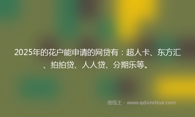 2025年的花户能申请的网贷有：超人卡、东方汇、拍拍贷、人人贷、分期乐等。