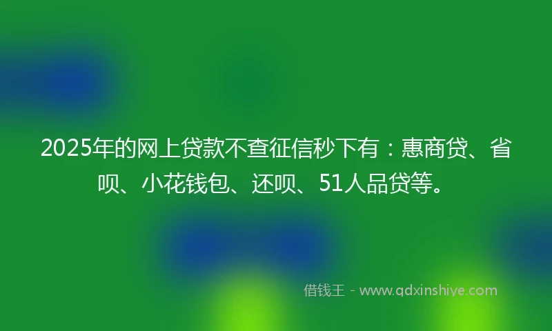 2025年的网上贷款不查征信秒下有：惠商贷、省呗、小花钱包、还呗、51人品贷等。