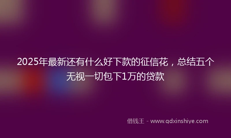 2025年最新还有什么好下款的征信花，总结五个无视一切包下1万的贷款