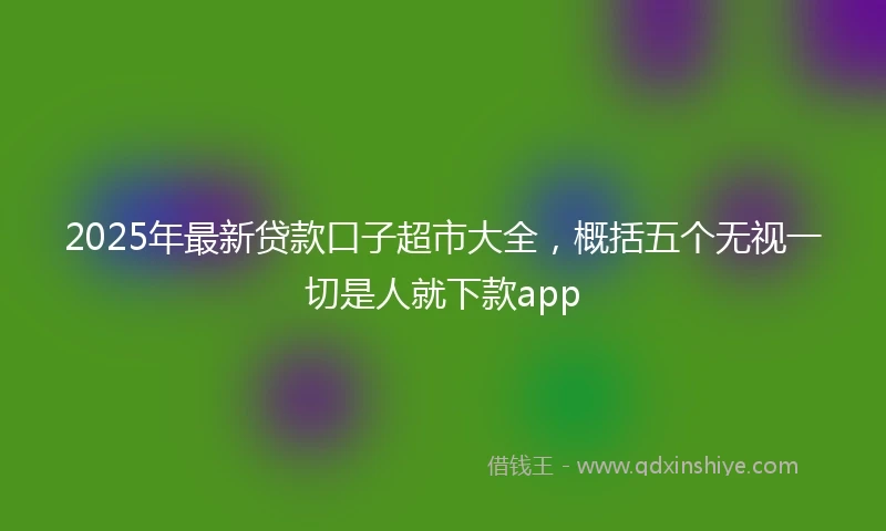 2025年最新贷款口子超市大全，概括五个无视一切是人就下款app