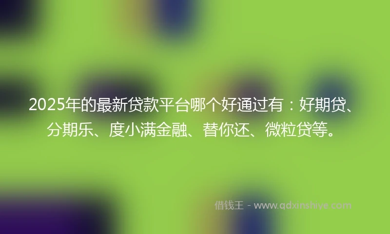 2025年的最新贷款平台哪个好通过有：好期贷、分期乐、度小满金融、替你还、微粒贷等。