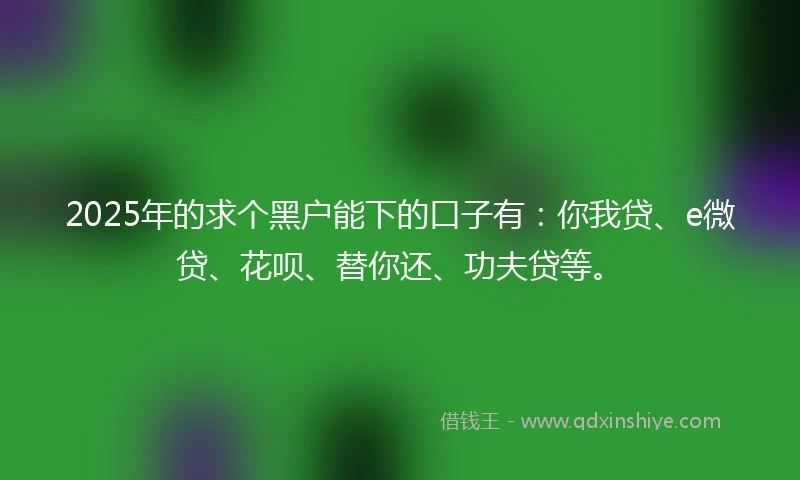 2025年的求个黑户能下的口子有:你我贷、e微贷、花呗、替你还、功夫贷等。