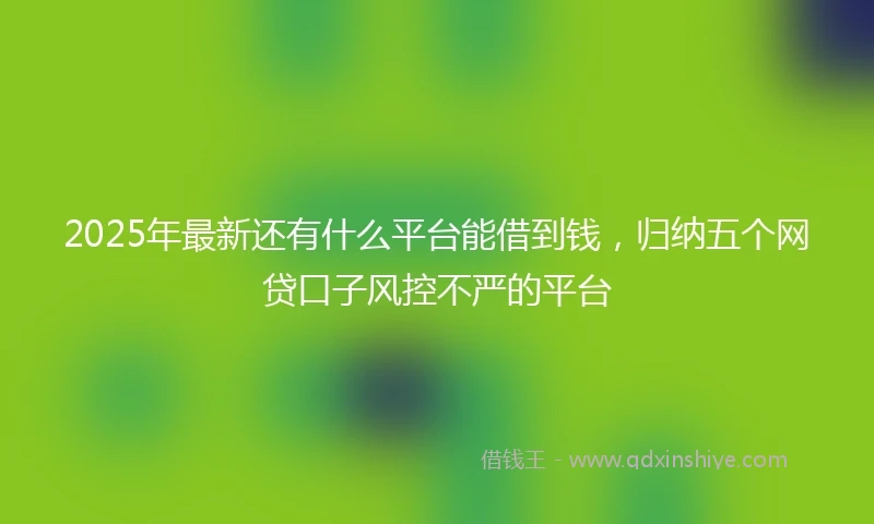 2025年最新还有什么平台能借到钱，归纳五个网贷口子风控不严的平台