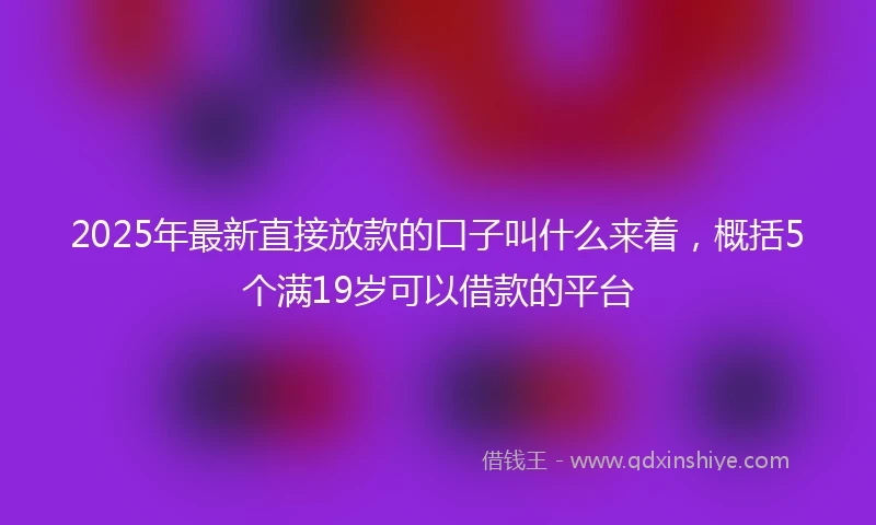 2025年最新直接放款的口子叫什么来着，概括5个满19岁可以借款的平台