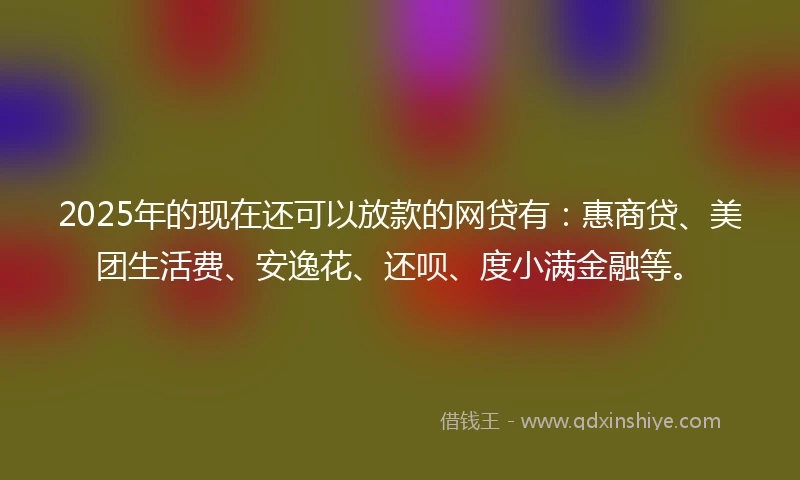 2025年的现在还可以放款的网贷有：惠商贷、美团生活费、安逸花、还呗、度小满金融等。