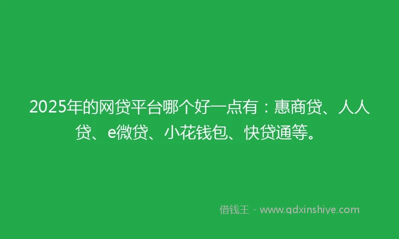 2025年的网贷平台哪个好一点有：惠商贷、人人贷、e微贷、小花钱包、快贷通等。