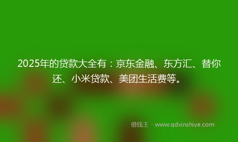 2025年的贷款大全有：京东金融、东方汇、替你还、小米贷款、美团生活费等。